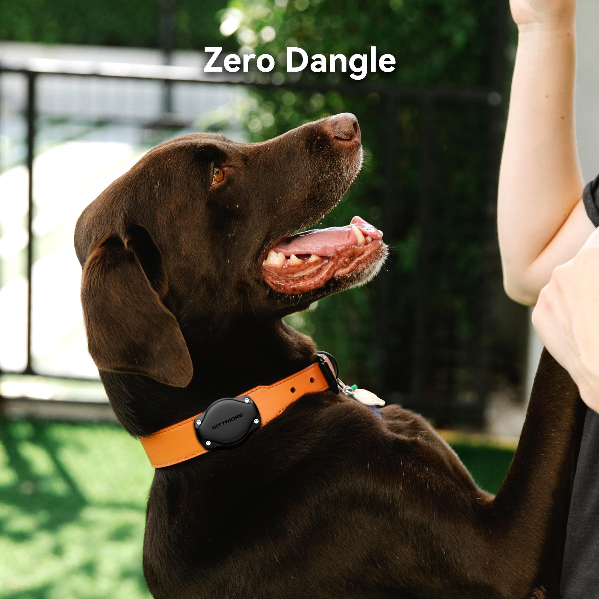 Amazon.co.jp: 防水エアタグ犬用首輪ホルダー、犬と猫の GPS